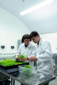 green jobs in the UK