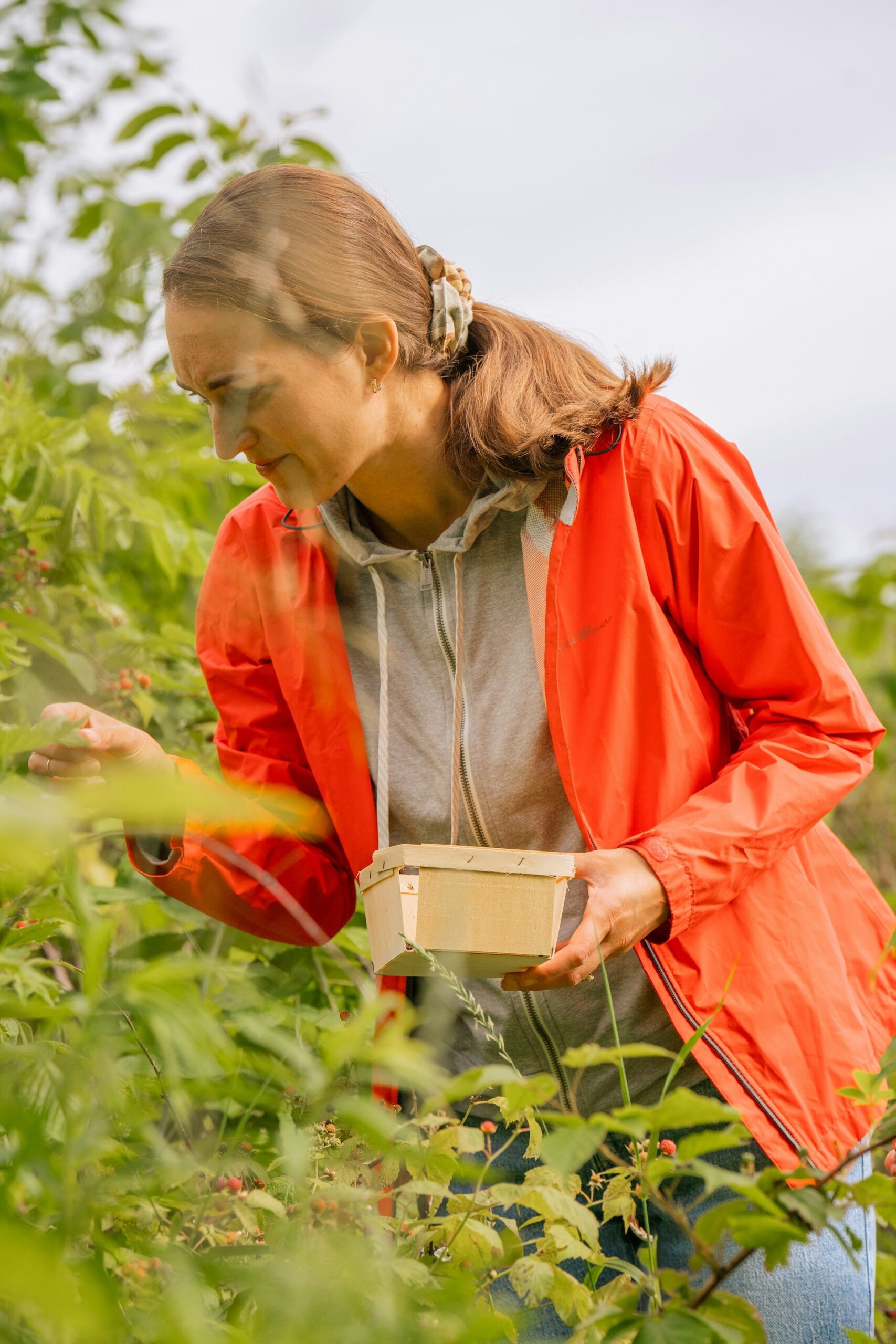 Farm Jobs in the UK
